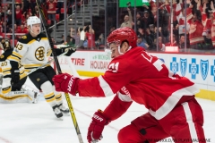 Red Wings vs Boston Bruins Dec 13 2017 (18)