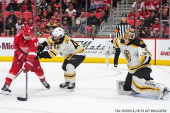 Red Wings vs Boston Bruins Dec 13 2017 (20)