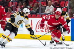 Red Wings vs Boston Bruins Dec 13 2017 (23)