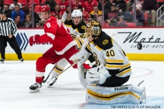 Red Wings vs Boston Bruins Dec 13 2017 (24)