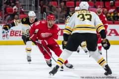 Red Wings vs Boston Bruins Dec 13 2017 (27)