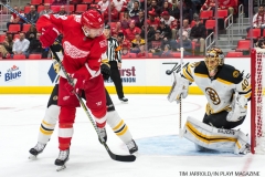Red Wings vs Boston Bruins Dec 13 2017 (3)