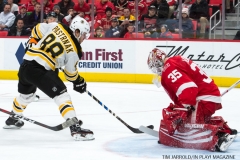 Red Wings vs Boston Bruins Dec 13 2017 (31)