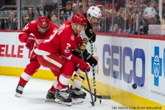 Red Wings vs Boston Bruins Dec 13 2017 (32)