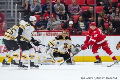 Red Wings vs Boston Bruins Dec 13 2017 (34)