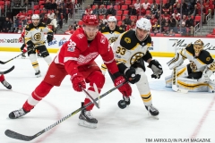 Red Wings vs Boston Bruins Dec 13 2017 (6)