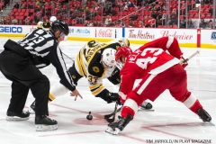 Red Wings vs Boston Bruins Dec 13 2017 (7)