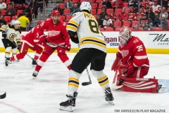 Red Wings vs Boston Bruins Dec 13 2017 (8)