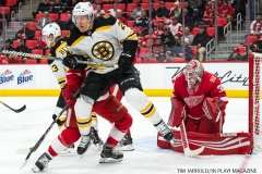 Red Wings vs Boston Bruins Dec 13 2017 (9)