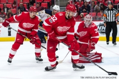 Red Wings vs Buffalo Nov 17 2017 (10)