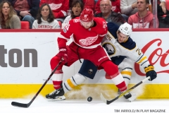 Red Wings vs Buffalo Nov 17 2017 (11)
