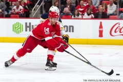 Red Wings vs Buffalo Nov 17 2017 (12)