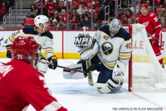 Red Wings vs Buffalo Nov 17 2017 (13)