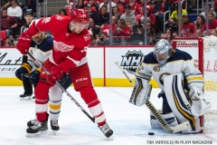 Red Wings vs Buffalo Nov 17 2017 (14)
