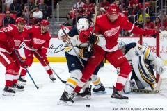 Red Wings vs Buffalo Nov 17 2017 (15)