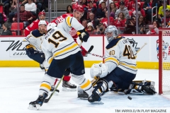 Red Wings vs Buffalo Nov 17 2017 (16)