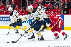Red Wings vs Buffalo Nov 17 2017 (17)