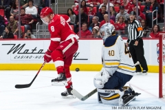Red Wings vs Buffalo Nov 17 2017 (18)