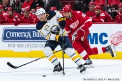 Red Wings vs Buffalo Nov 17 2017 (23)