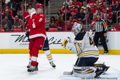 Red Wings vs Buffalo Nov 17 2017 (24)