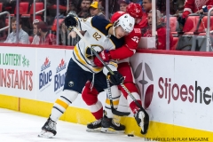 Red Wings vs Buffalo Nov 17 2017 (25)