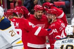 Red Wings vs Buffalo Nov 17 2017 (27)
