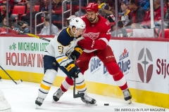Red Wings vs Buffalo Nov 17 2017 (3)