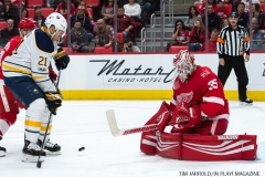 Red Wings vs Buffalo Nov 17 2017 (31)