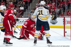 Red Wings vs Buffalo Nov 17 2017 (32)