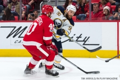 Red Wings vs Buffalo Nov 17 2017 (33)