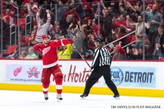 Red Wings vs Buffalo Nov 17 2017 (34)