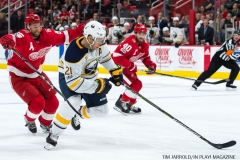 Red Wings vs Buffalo Nov 17 2017 (36)
