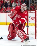 Red Wings vs Buffalo Nov 17 2017 (4)