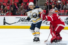 Red Wings vs Buffalo Nov 17 2017 (8)