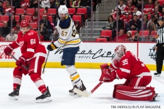 Red Wings vs Buffalo Nov 17 2017 (9)