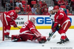 Red Wings vs Canucks Oct 22 2017 (15)