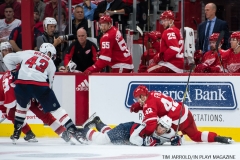 Red Wings vs Capitals Oct 20 (23)