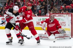 Red Wings vs Devils Nov 25 2017 (11)
