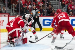 Red Wings vs Devils Nov 25 2017 (2)