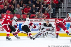 Red Wings vs Devils Nov 25 2017 (28)