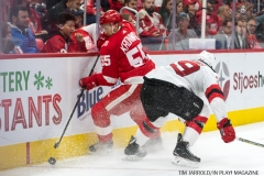 Red Wings vs Devils Nov 25 2017 (3)