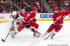 Red Wings vs Devils Nov 25 2017 (5)