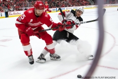 Red Wings vs Devils Nov 25 2017 (6)