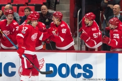 Red Wings vs Devils Nov 25 2017 (8)
