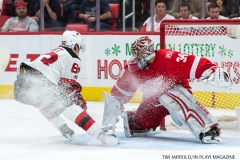 Red Wings vs Devils Nov 25 2017 (9)