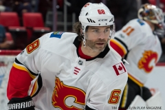 Red Wings vs Flames Nov 15 2017 (1)