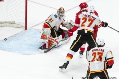 Red Wings vs Flames Nov 15 2017 (10)