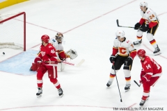 Red Wings vs Flames Nov 15 2017 (11)