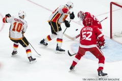 Red Wings vs Flames Nov 15 2017 (12)