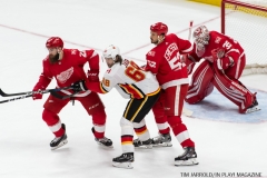 Red Wings vs Flames Nov 15 2017 (13)
